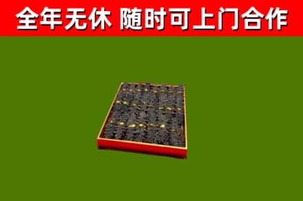 桃江回收海参